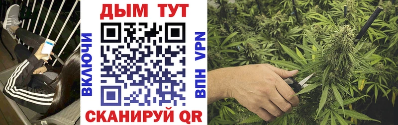 Цена Сельцо Бутират А ПВП OMG как зайти Экстази Бошки Шишки Меф ГАШИШ