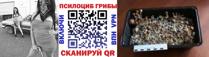 mega сайт  Сельцо  Галлюциногенные грибы Magic Shrooms  как найти наркотики 